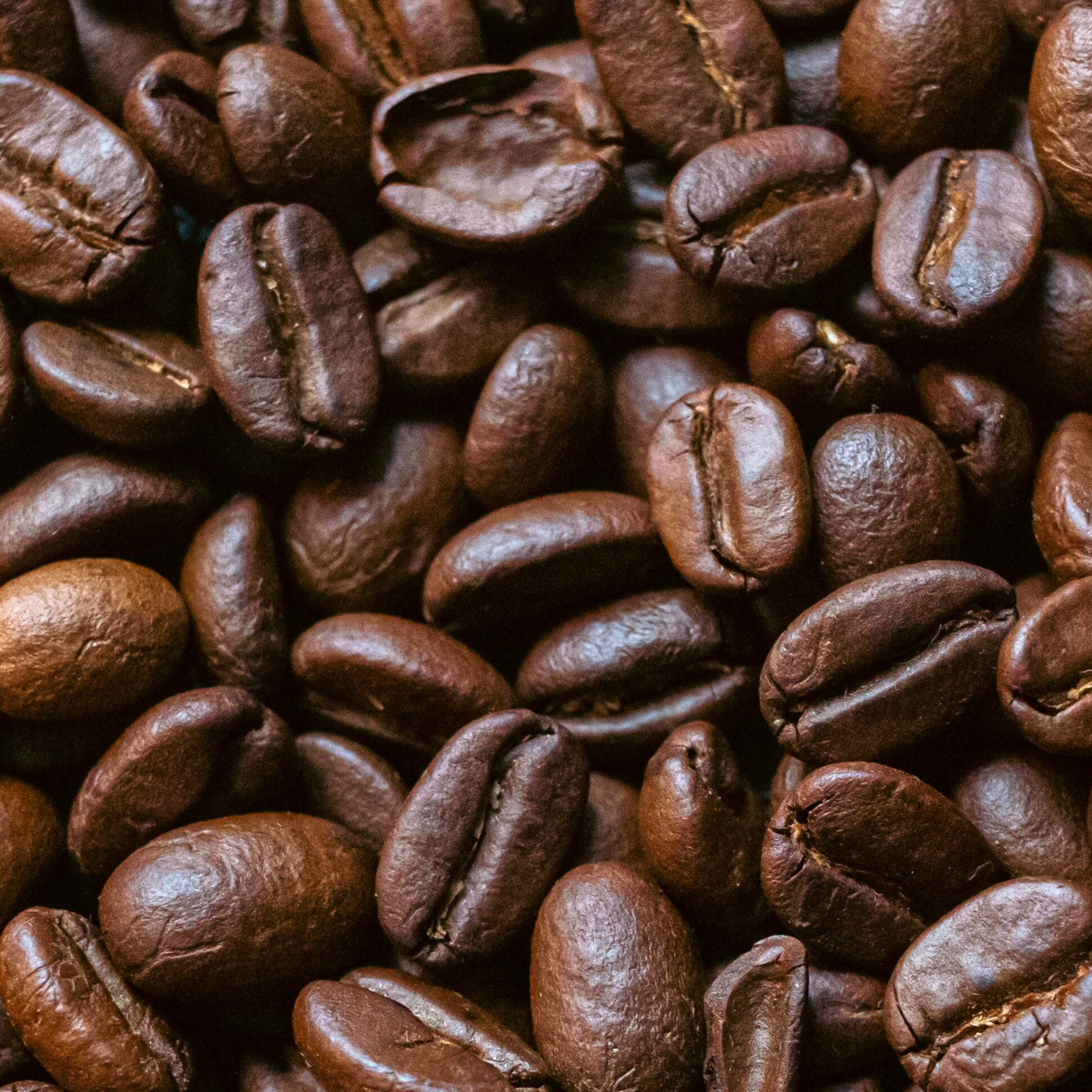 How to Store Fresh Coffee Beans to Keep Them Fresh Longer