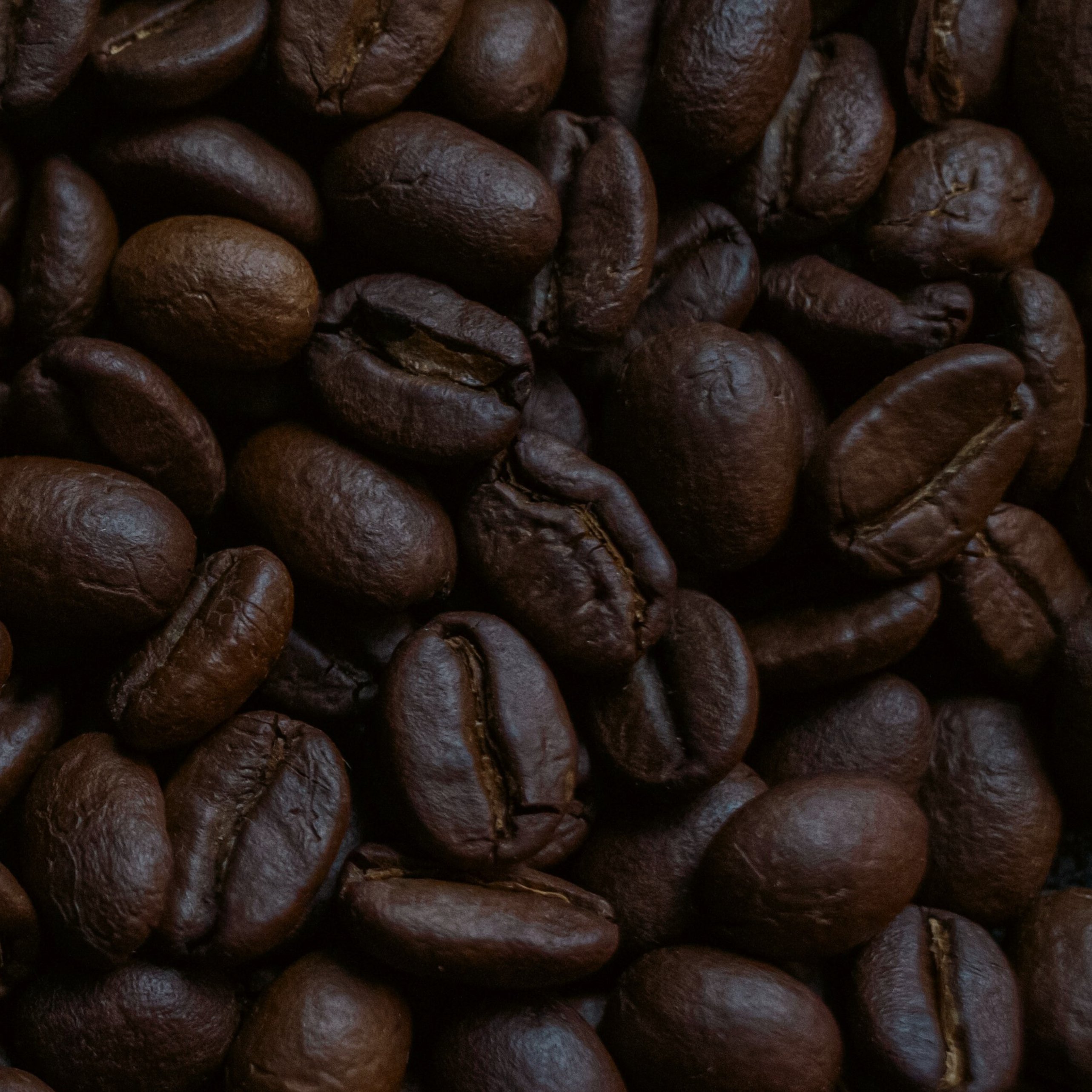 The Midnight Flame – Dark Roast Bundle