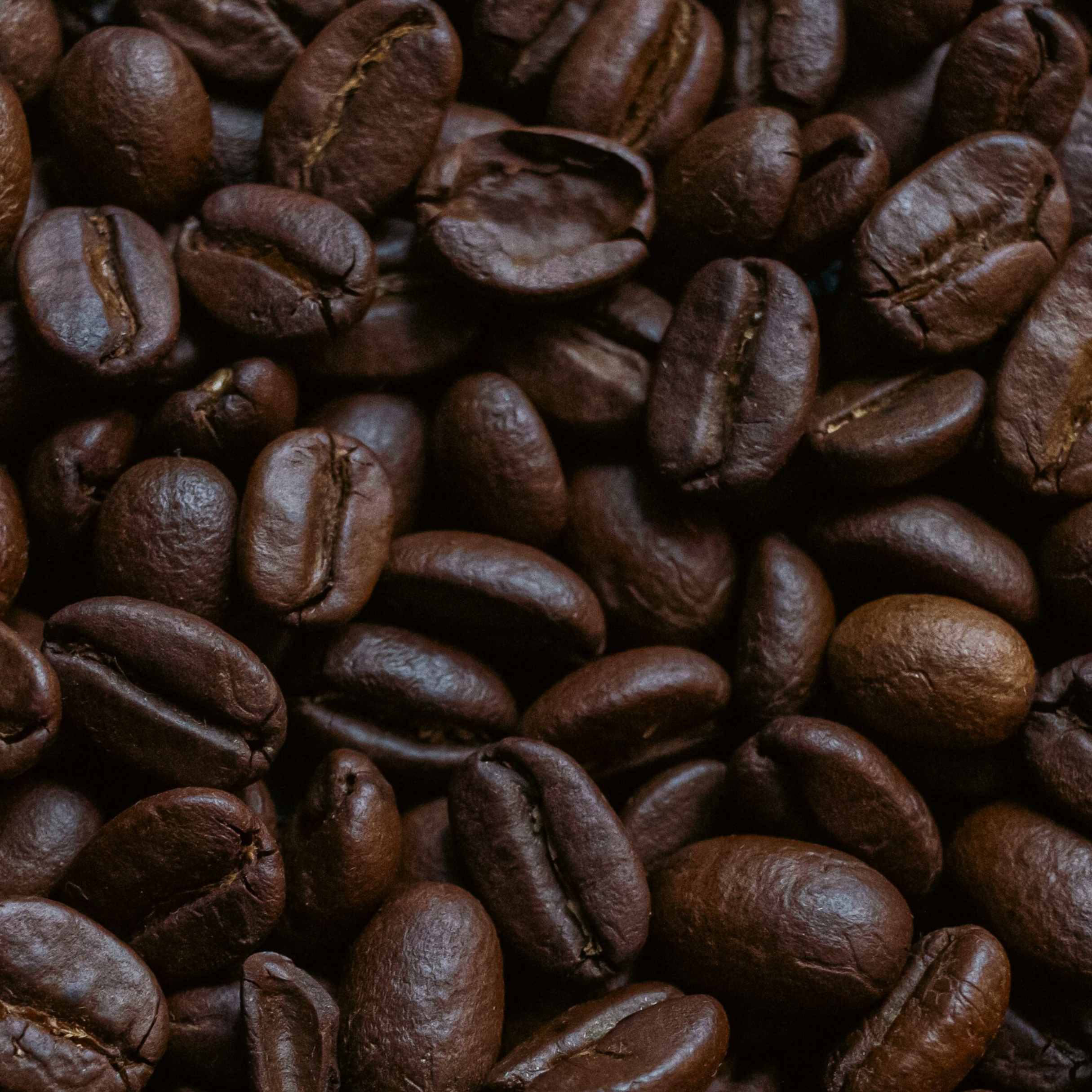 STOKE - Creamy & Welcoming