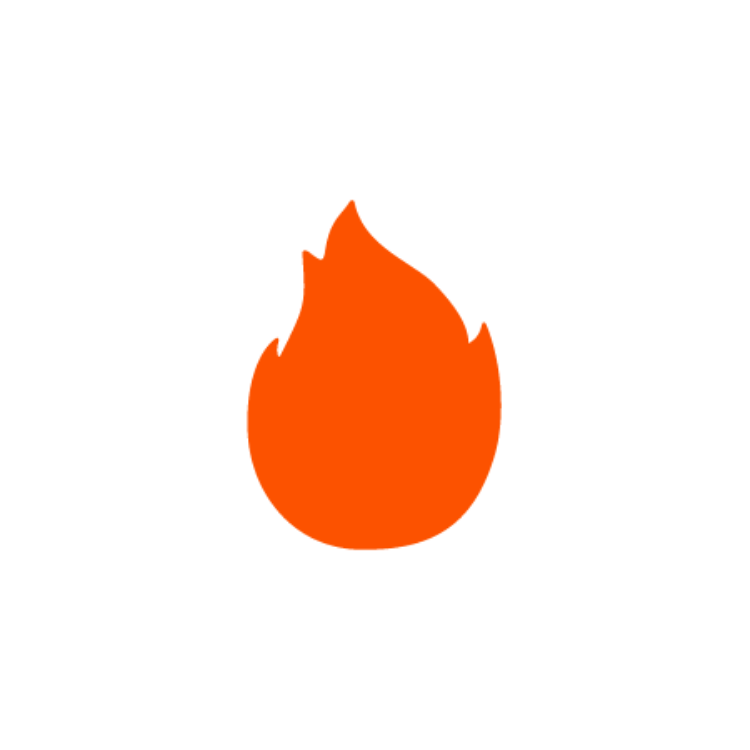 official-firebean.myshopify.com_?v=1764445830076_Firebean-Flame (2).png