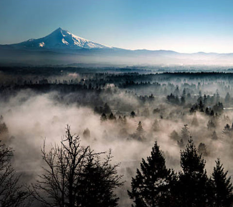 Best Coffee for a Cold Canadian Morning - Firebean Coffee Canada