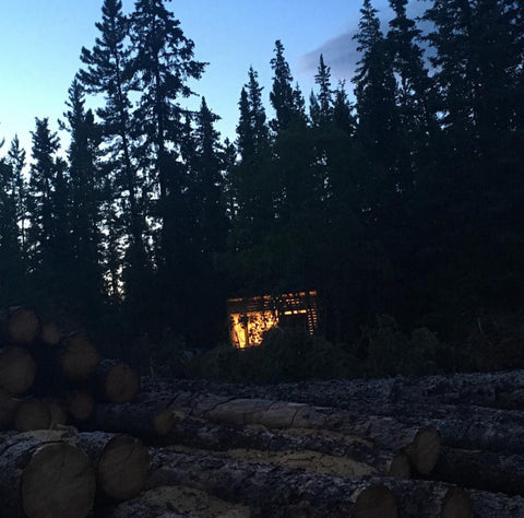 The Firebean Story: From a Yukon Shack to Your Mug