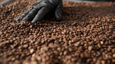 The Silence Between the Crackles: Meditation in the Roastery