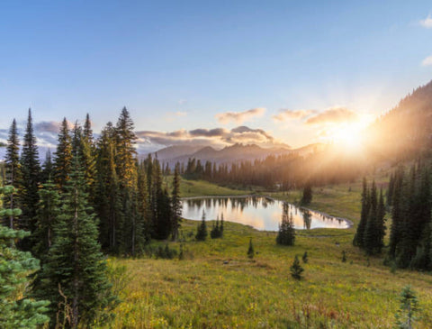 From Yukon to Your Cup: Our Bean's Journey