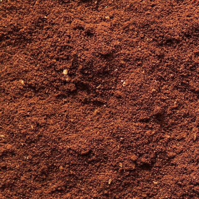 Dark Roast vs. Light Roast: Which is Right for You?