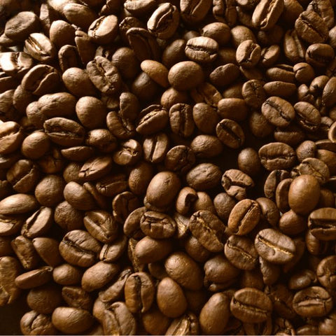 Coffee Beans for Beginners: Start Here