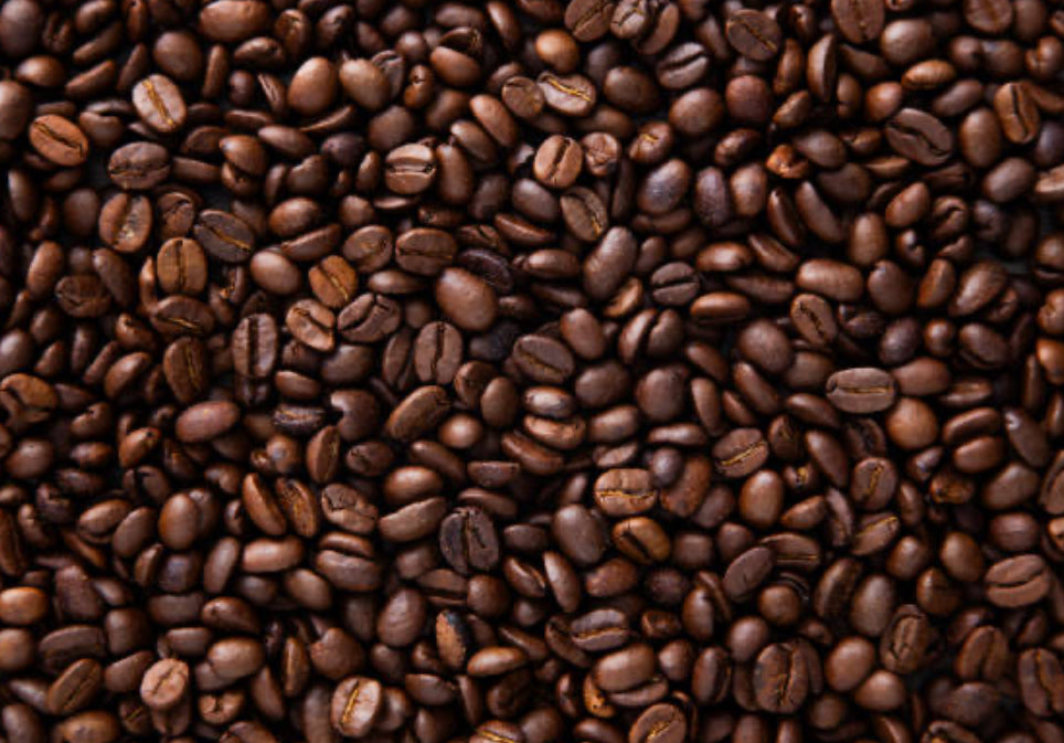 Why Canadian Roasted Means a Fresher, Smoother Cup