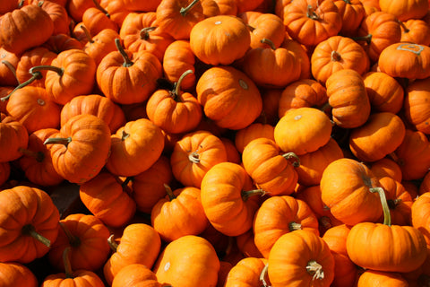 Brewing Up a Thanksgiving Delight: Coffee-Flavored Pumpkin Spice Cake