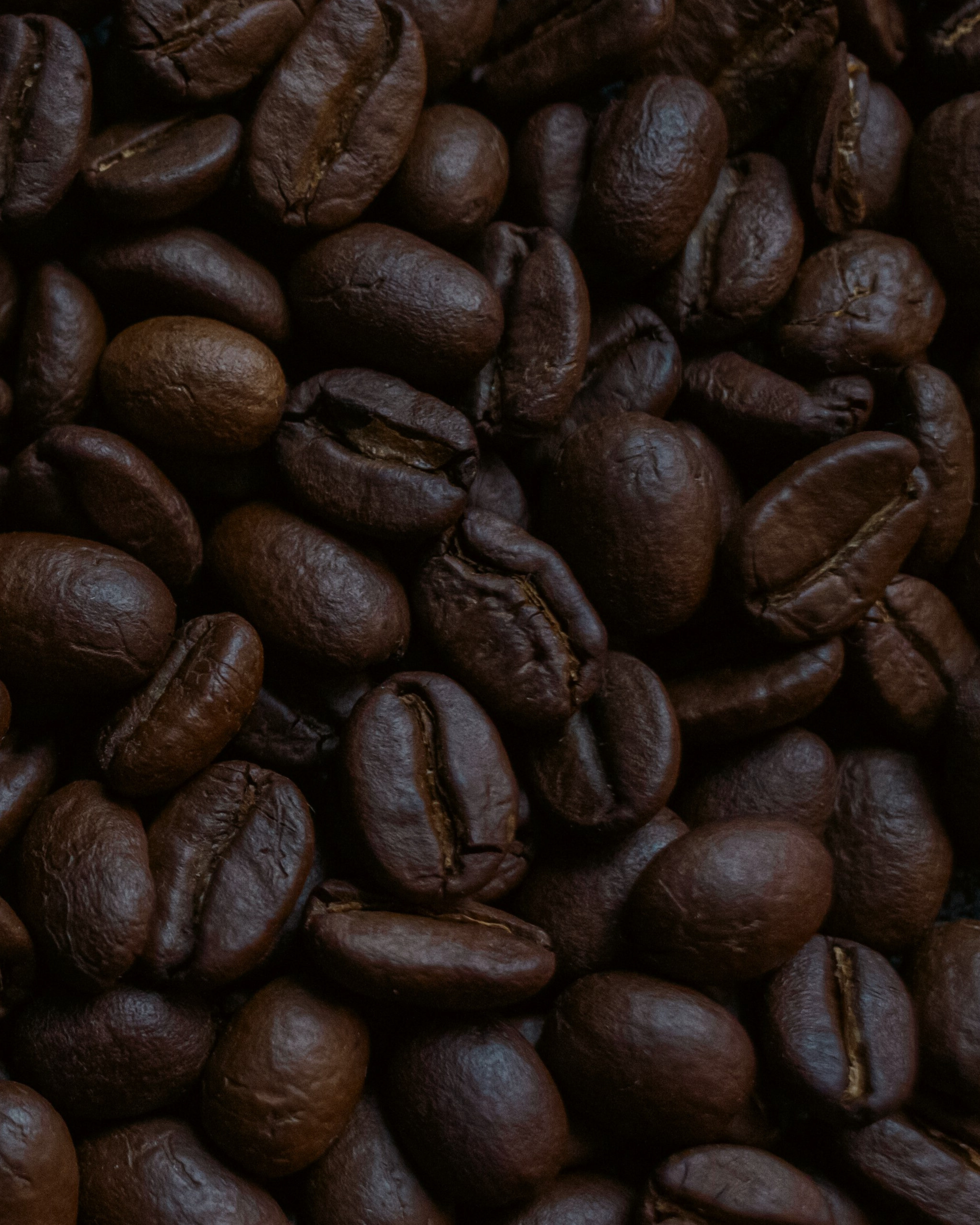 🖤 INFERNO - Bold & Untamed