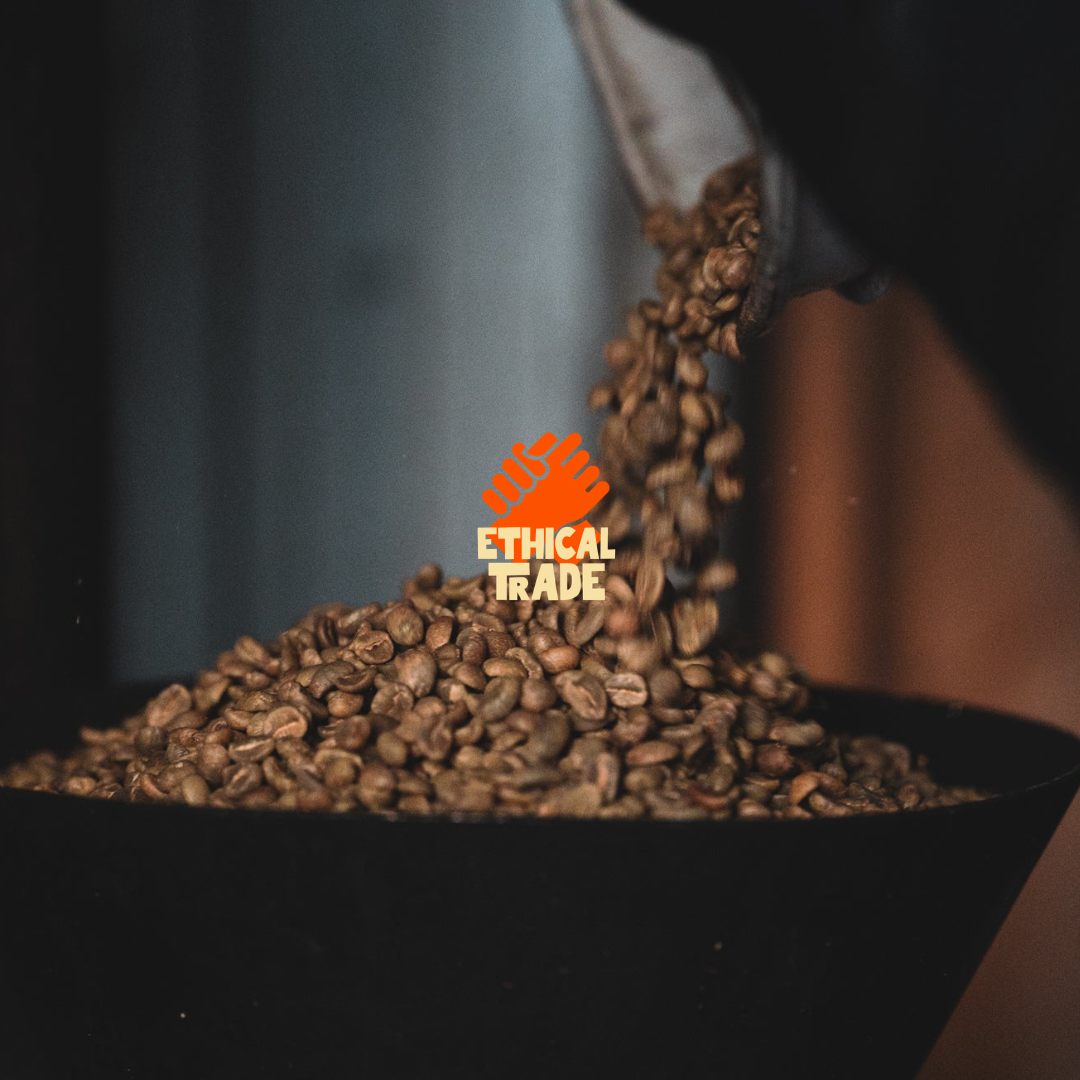 FIREWEED - Mellow & Comforting