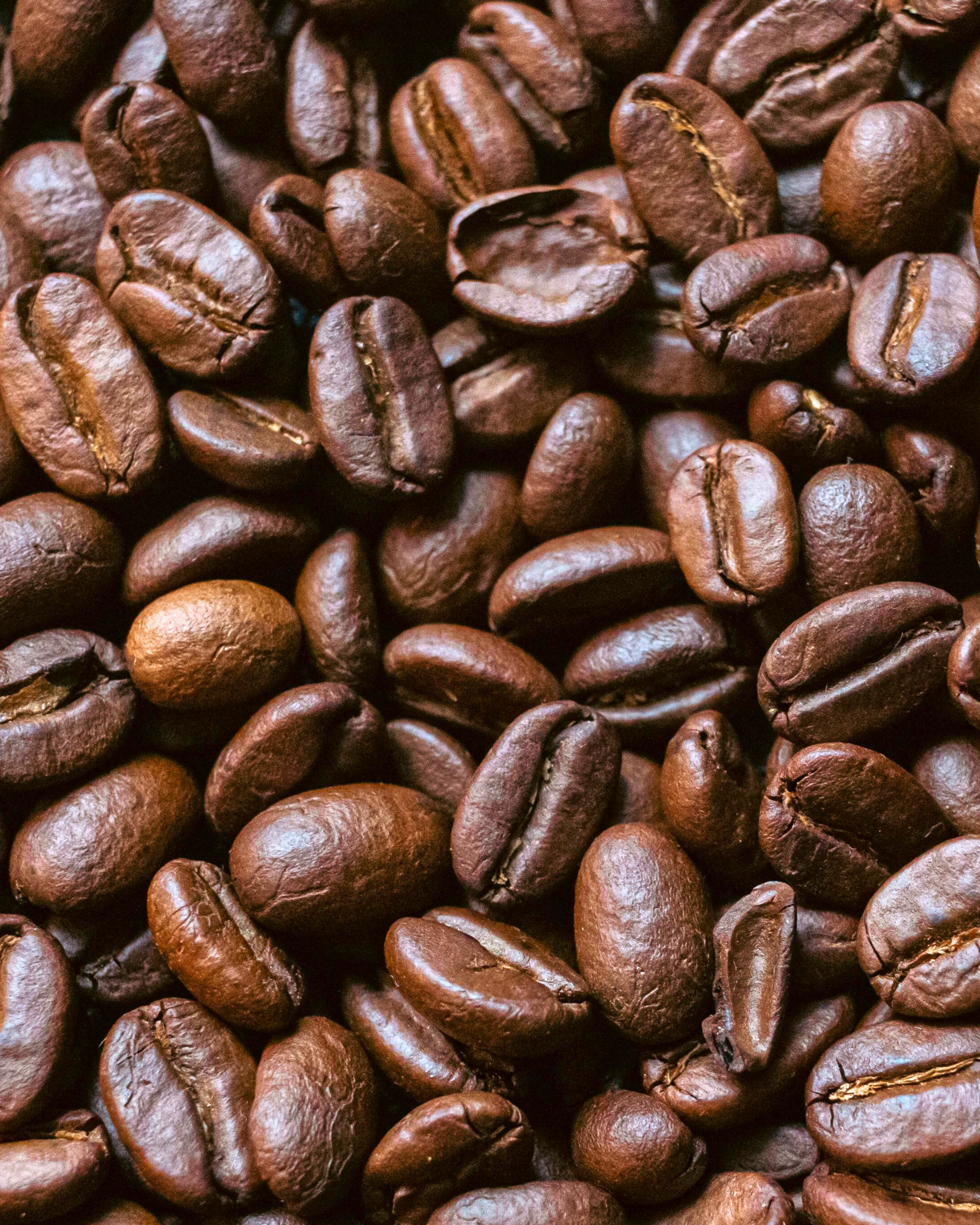 ☀️ EMBER - Bright & Luminous.