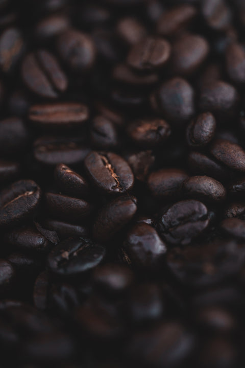 ☀️ EMBER - Bright & Luminous.