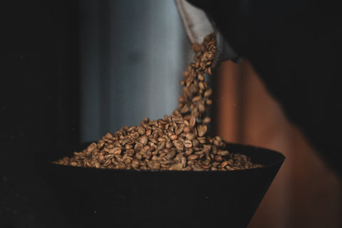 ☀️ EMBER - Bright & Luminous.