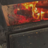 INFERNO - Bold & Untamed